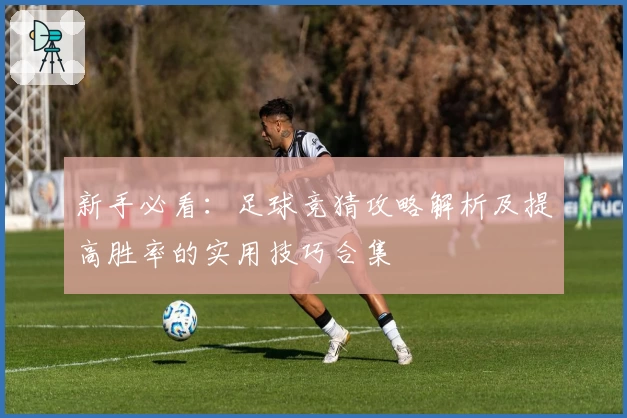 新手必看：足球竞猜攻略解析及提高胜率的实用技巧合集